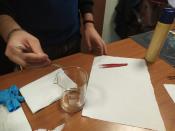IMG-20200204-WA0029.jpg